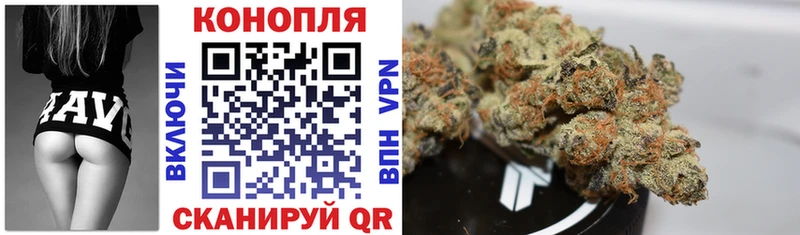 Шишки марихуана MAZAR Купить где Тверь